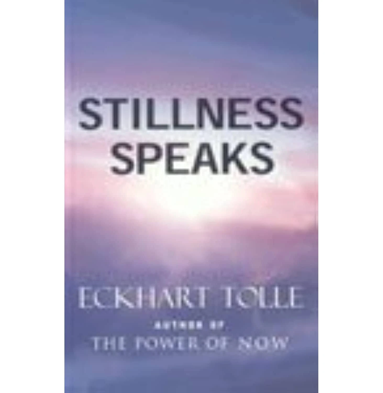 Stillness Speaks